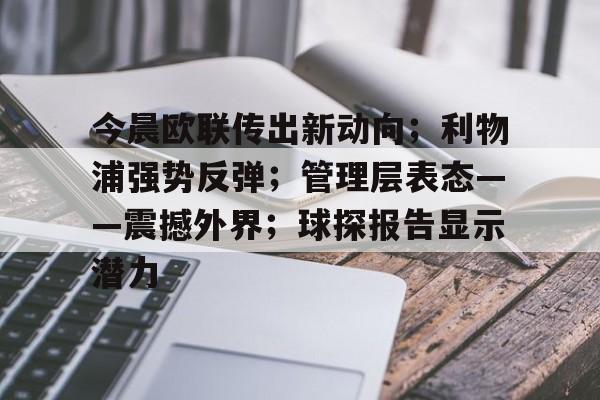 美高梅官网正网-利物浦英超客战伊镇不败